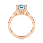 Madison Hidden Halo Engagement Ring Setting