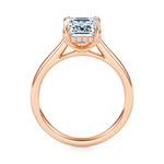 Madison Hidden Halo Engagement Ring Setting