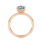 Maiden Engagement Ring Setting