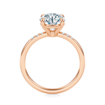 Maiden Engagement Ring Setting
