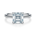 Madison Hidden Halo Engagement Ring Setting