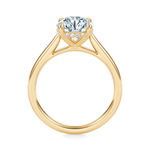 Madison Hidden Halo Engagement Ring Setting