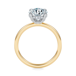 Baxter Hidden Halo Engagement Ring Setting
