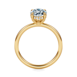 Baxter Hidden Halo Engagement Ring Setting