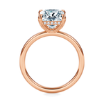 Baxter Hidden Halo Engagement Ring Setting