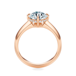 Cooper Engagement Ring Setting