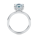 Baxter Hidden Halo Engagement Ring Setting