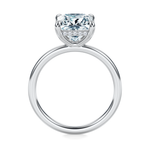 Baxter Hidden Halo Engagement Ring Setting