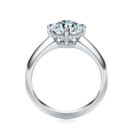 Cooper Engagement Ring Setting