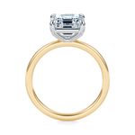 Baxter Hidden Halo Engagement Ring Setting