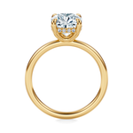 Baxter Hidden Halo Engagement Ring Setting