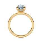 Baxter Hidden Halo Engagement Ring Setting