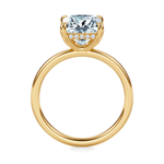Baxter Hidden Halo Engagement Ring Setting