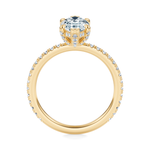 Baxter Pavé Hidden Halo Engagement Ring Setting