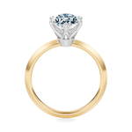 Broadway Solitaire Engagement Ring Setting