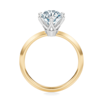Broadway Solitaire Engagement Ring Setting