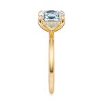 Baxter Hidden Halo Engagement Ring Setting