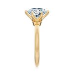 Broadway Solitaire Engagement Ring Setting