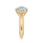 Cooper Engagement Ring Setting