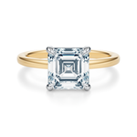 Baxter Hidden Halo Engagement Ring Setting